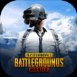 地鐵逃生國際服pubg