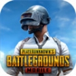 國際服pubgmobile