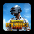 pubg國際服32位版本